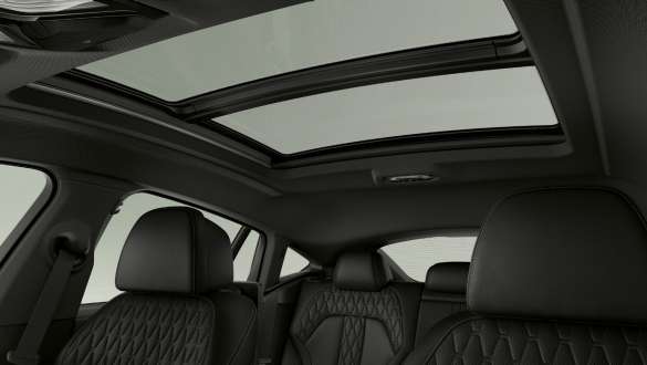 Панорамний скляний дах Sky Lounge BMW X6 G06 2019 Панорамний скляний дах Sky Lounge BMW X6 G06 2019